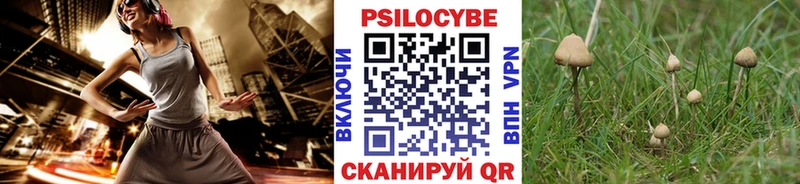 гидра онион  цены наркотик  Арск  Псилоцибиновые грибы MAGIC MUSHROOMS 